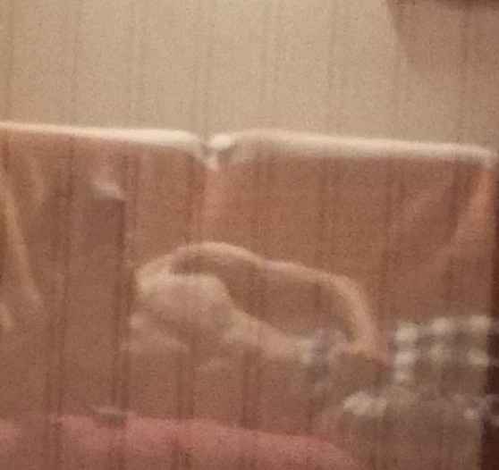 Younn, 22 ans, Montbouton