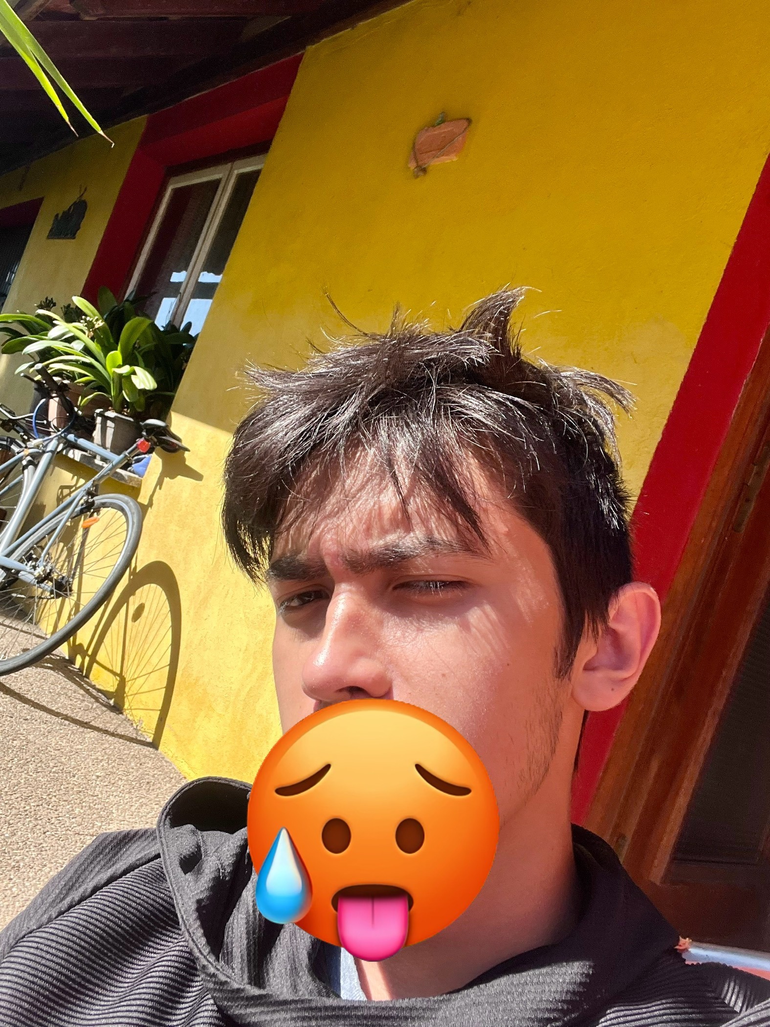 Louis-henri, 22 ans, Vauthiermont